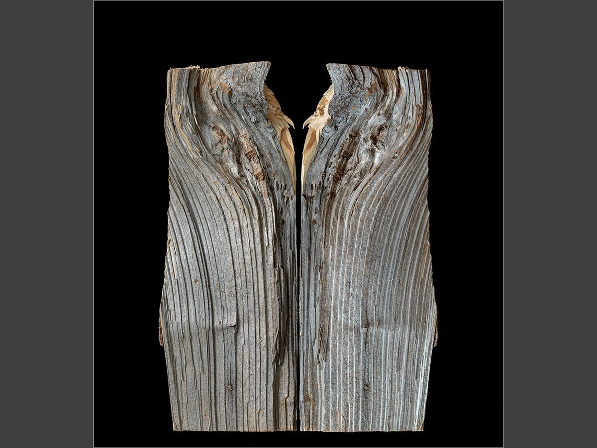holz-holz